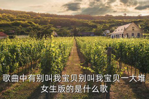 歌曲中有别叫我宝贝别叫我宝贝一大堆女生版的是什么歌