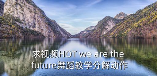 求视频HOT we are the future舞蹈教学分解动作