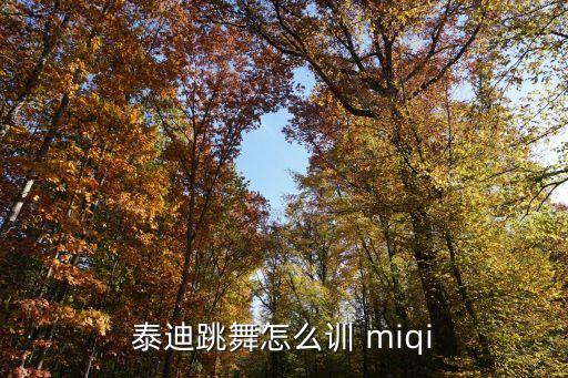 怎么教泰迪跳舞，如何训练泰迪狗狗学会跳舞
