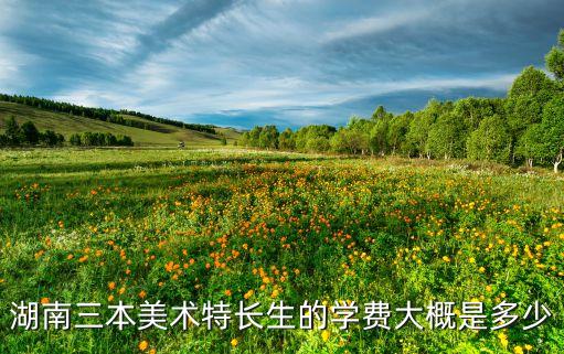 湖南人文科技学院美术生学费，湖南人文科技学院学费查询学费多少