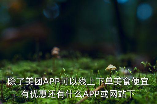 除了美团APP可以线上下单美食便宜有优惠还有什么APP或网站下