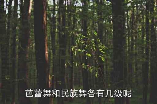 芭蕾多久中级，芭蕾舞和民族舞各有几级呢