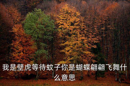 我是壁虎等待蚊子你是蝴蝶翩翩飞舞什么意思