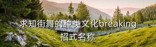一场舞跳完 就像什么 台，一起又看流星雨中 和你相识如像是场梦后面的台词是什么要完整点的