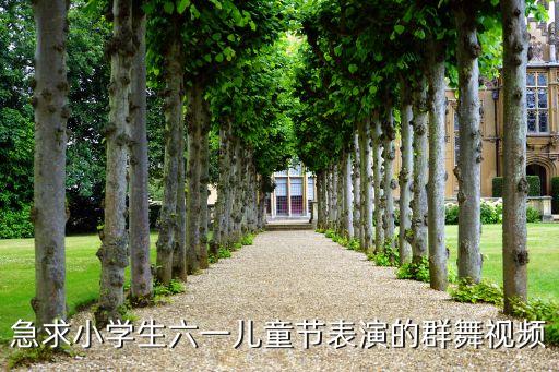 急求小学生六一儿童节表演的群舞视频