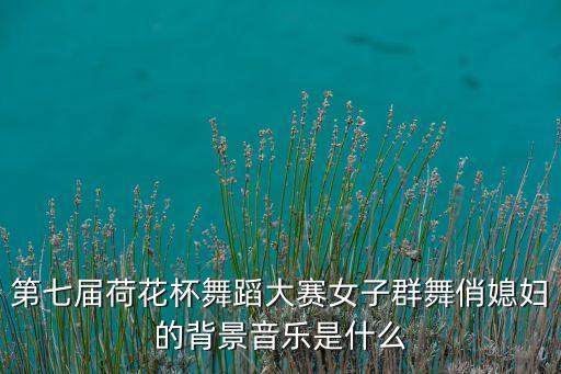 第七届荷花杯舞蹈大赛女子群舞俏媳妇的背景音乐是什么