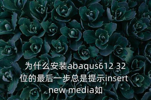 为什么安装abaqus612 32位的最后一步总是提示insert new media如