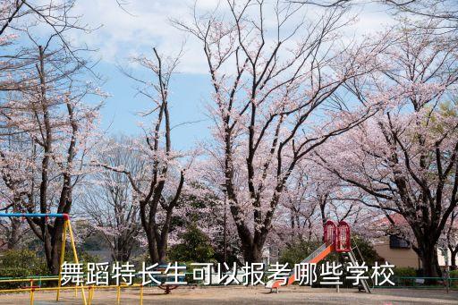 舞蹈生可以报考的学校，学唱歌跳舞可以考哪个学院