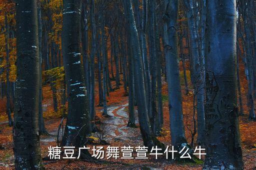 茉莉广场舞你牛什么牛广场舞视频，歌词是你牛什么牛