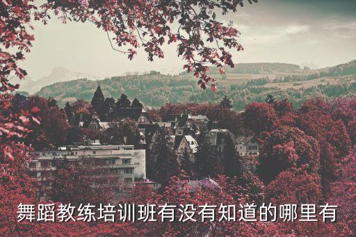 哪里有舞蹈技巧培训班，郑州哪有好点儿的舞蹈技巧培训