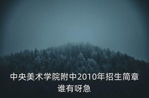中央美术学院附中2010年招生简章谁有呀急