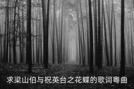 求梁山伯与祝英台之花蝶的歌词粤曲