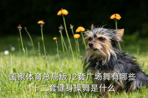 国家体育总局版12套广场舞有哪些 十二套健身操舞是什么