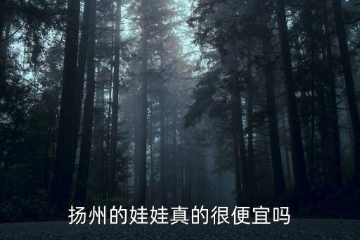 扬州的娃娃真的很便宜吗