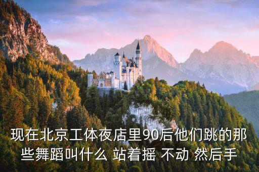现在北京工体夜店里90后他们跳的那些舞蹈叫什么 站着摇 不动 然后手