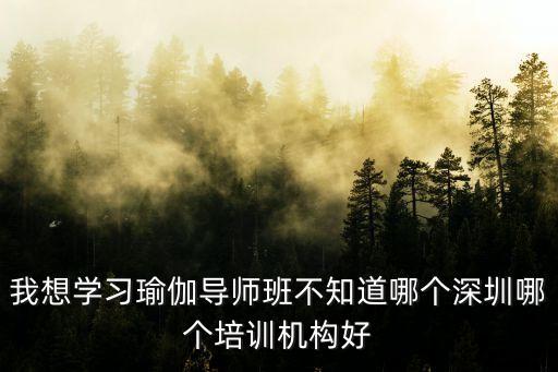 深圳最好的瑜伽培训学校，我想学习瑜伽导师班不知道哪个深圳哪个培训机构好