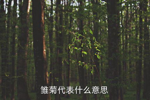 雏菊代表什么意思
