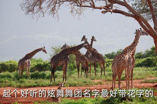 起个好听的炫舞舞团名字最好带花字的