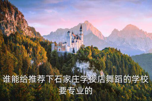 谁能给推荐下石家庄学夜店舞蹈的学校要专业的
