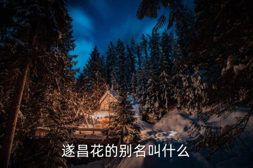 遂昌花的别名叫什么