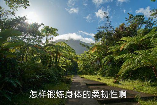 有什么柔韧动作，做什么运动可以让自己的身体更有柔韧度不要太难的不要太复杂的