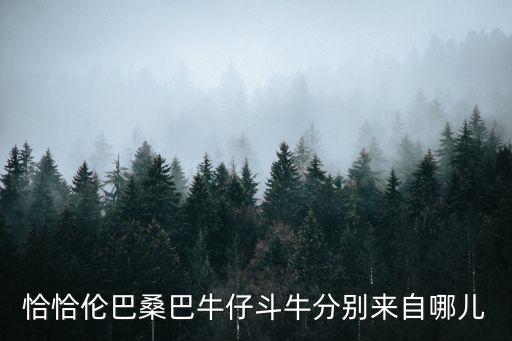 恰恰伦巴桑巴牛仔斗牛分别来自哪儿