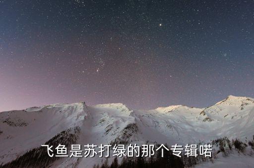 飞鱼九式舞曲是什么，林肯公园Figure09原歌名是什么意思