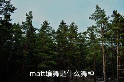 matt编舞是什么舞种