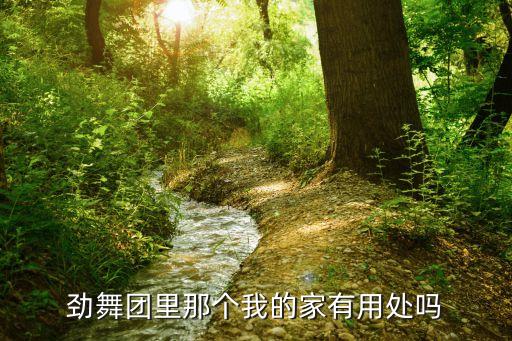 劲舞团里那个我的家有用处吗