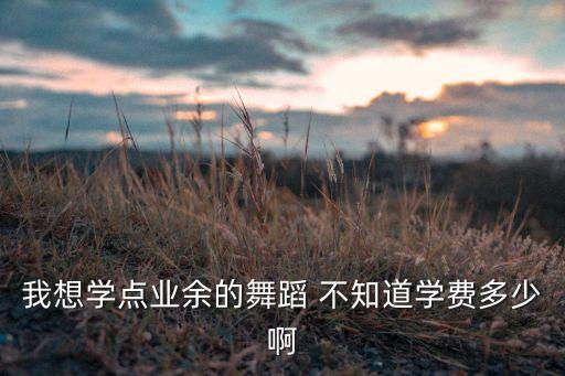我想学点业余的舞蹈 不知道学费多少啊