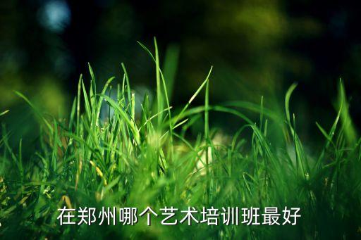在郑州哪个艺术培训班最好