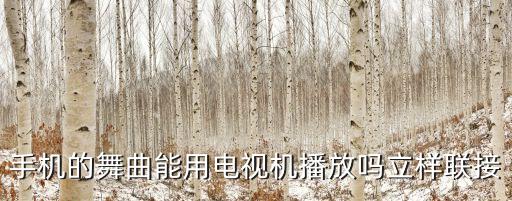 手机的舞曲能用电视机播放吗立样联接