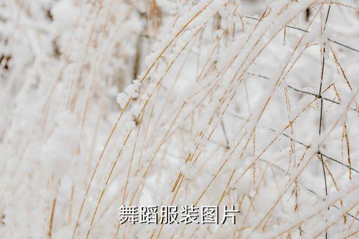 今年新款广场舞服装图片，流行舞舞蹈服装谁有图片