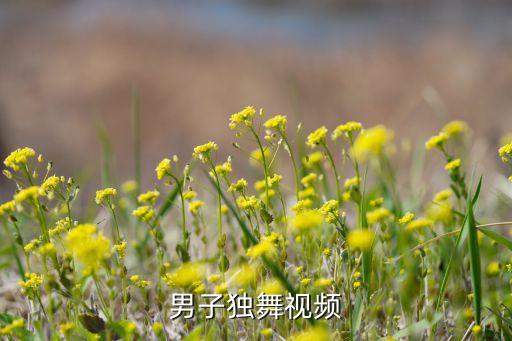 男子独舞视频