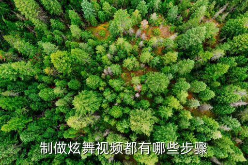怎么制作跳舞视频教学视频教程，怎样做炫舞视频