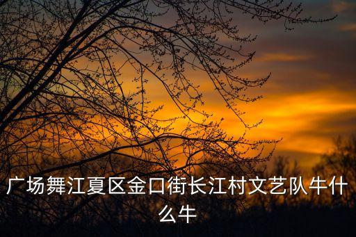 广场舞江夏区金口街长江村文艺队牛什么牛