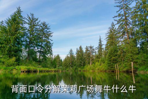 背面口令分解茉莉广场舞牛什么牛