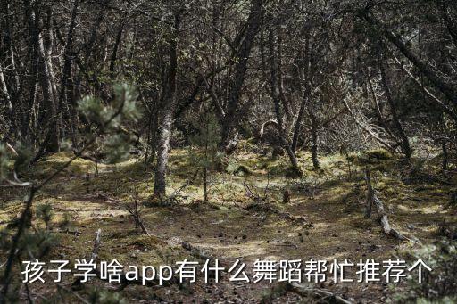 孩子学啥app有什么舞蹈帮忙推荐个