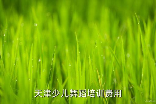 幼儿舞蹈班培训多少钱一节课，少儿舞蹈培训班通常怎么收费的