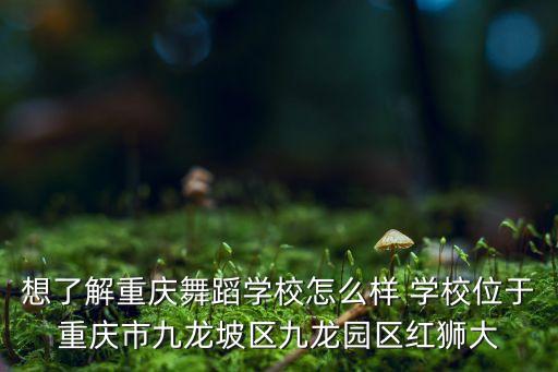 想了解重庆舞蹈学校怎么样 学校位于重庆市九龙坡区九龙园区红狮大