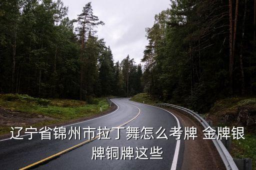 辽宁省锦州市拉丁舞怎么考牌 金牌银牌铜牌这些