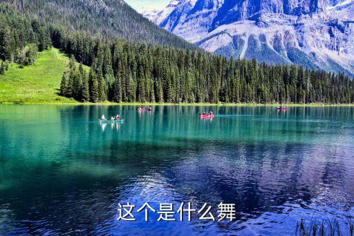 王显群广场舞，我从草原来广场舞