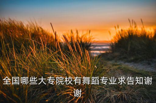 全国哪些大专院校有舞蹈专业求告知谢谢