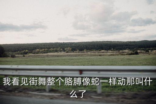 我看见街舞整个胳膊像蛇一样动那叫什么了