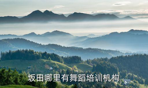 坂田少儿舞蹈培训哪里好，深圳坂田附近哪里有舞蹈培训班