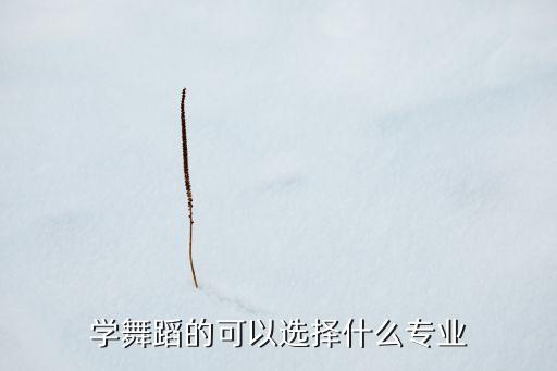 舞蹈艺术生可以选修的专业，到大学学了舞蹈主修还可以选修甚么