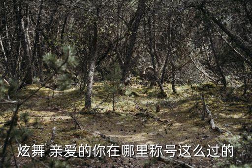 炫舞 亲爱的你在哪里称号这么过的