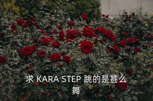 卡巴莱舞是什么，求 KARA STEP 跳的是甚么舞