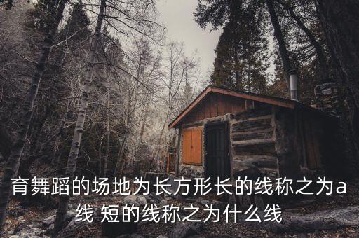 育舞蹈的场地为长方形长的线称之为a线 短的线称之为什么线