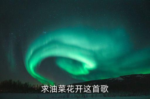 求油菜花开这首歌